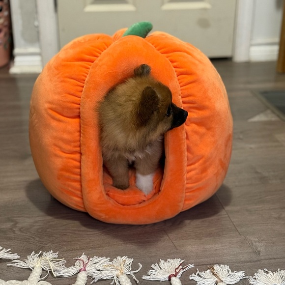 SOLD - Picture 2 of 2